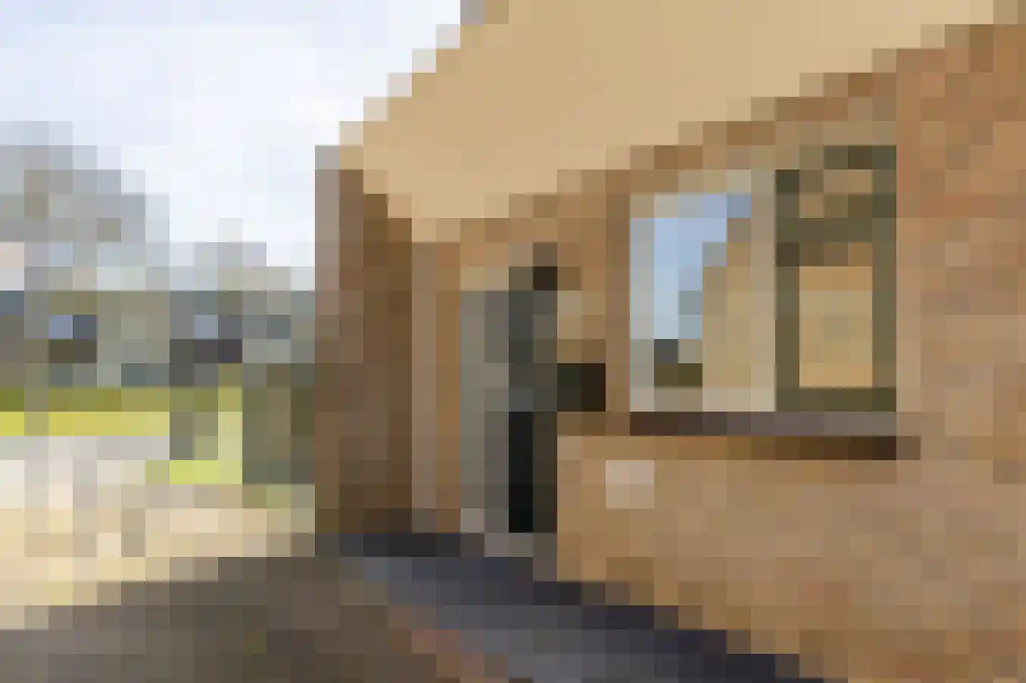 Stins 33 Almelo thumbnail 6