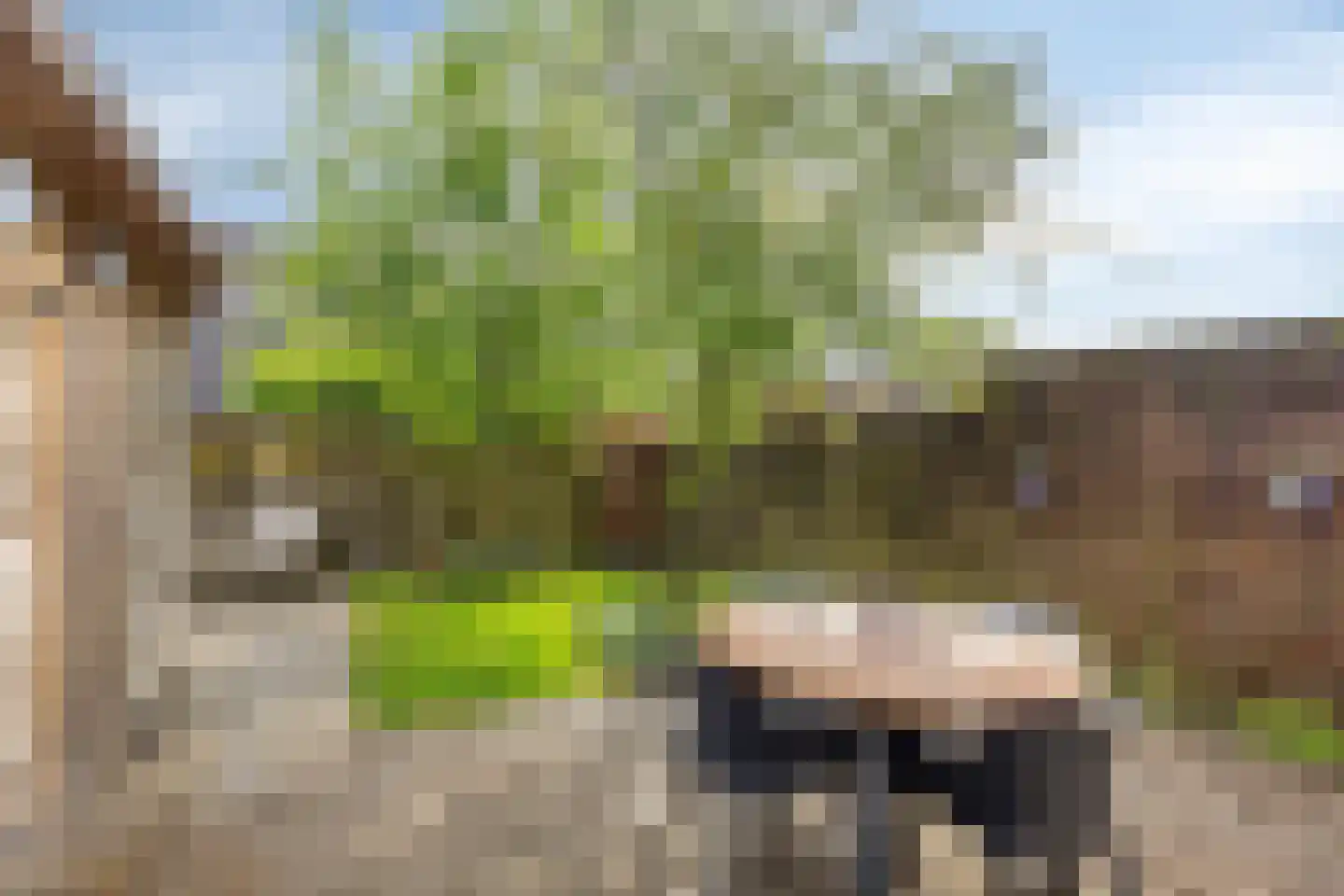 Stinsenweg 106 Roden thumbnail 27