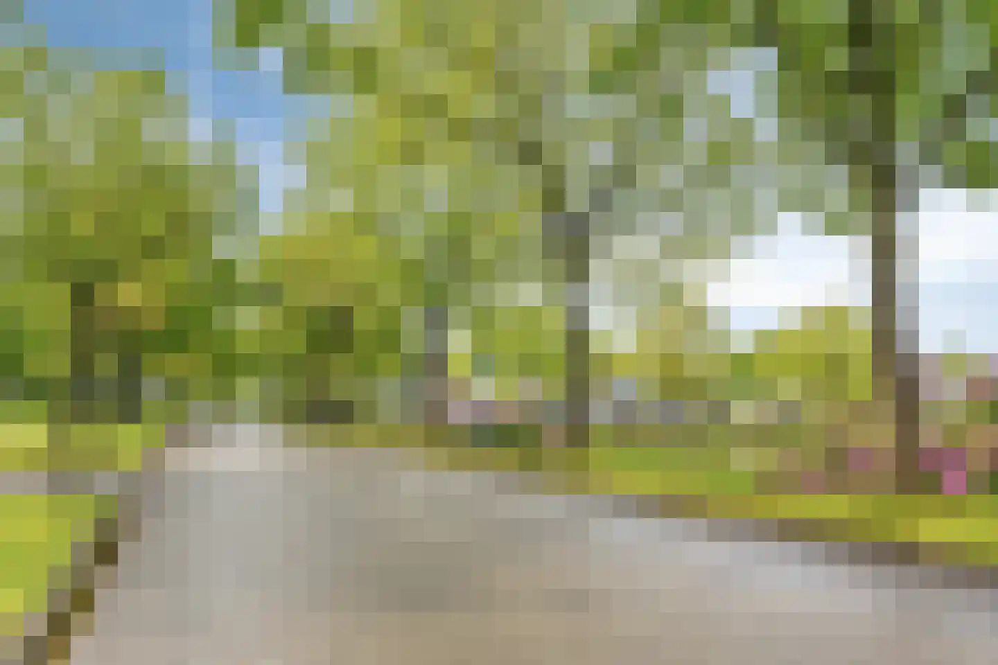 Stinsenweg 106 Roden thumbnail 33