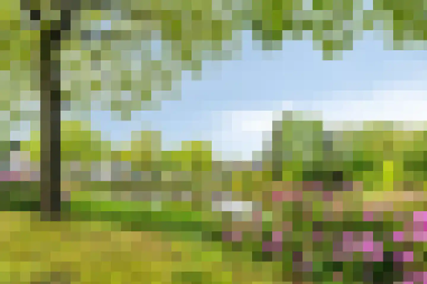 Stinsenweg 106 Roden thumbnail 4