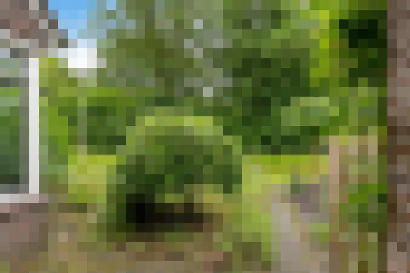 Stinsenweg 152 Roden thumbnail 32