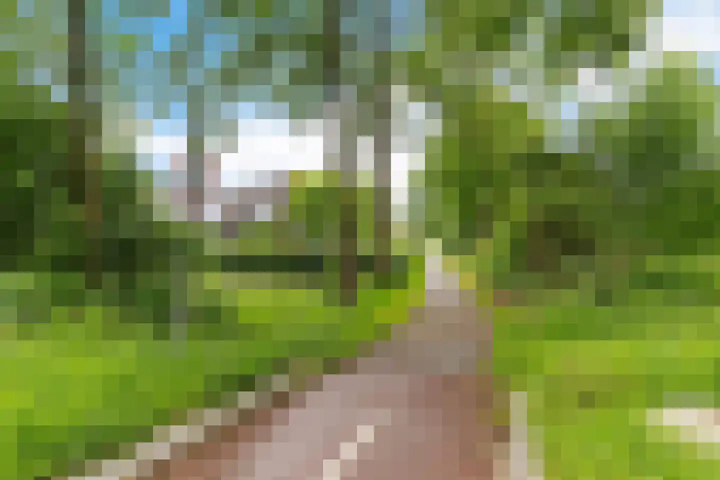 Stinsenweg 152 Roden thumbnail 34