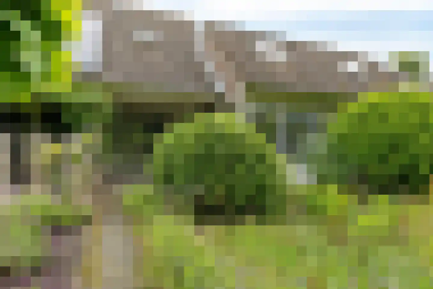Stinsenweg 152 Roden thumbnail 6