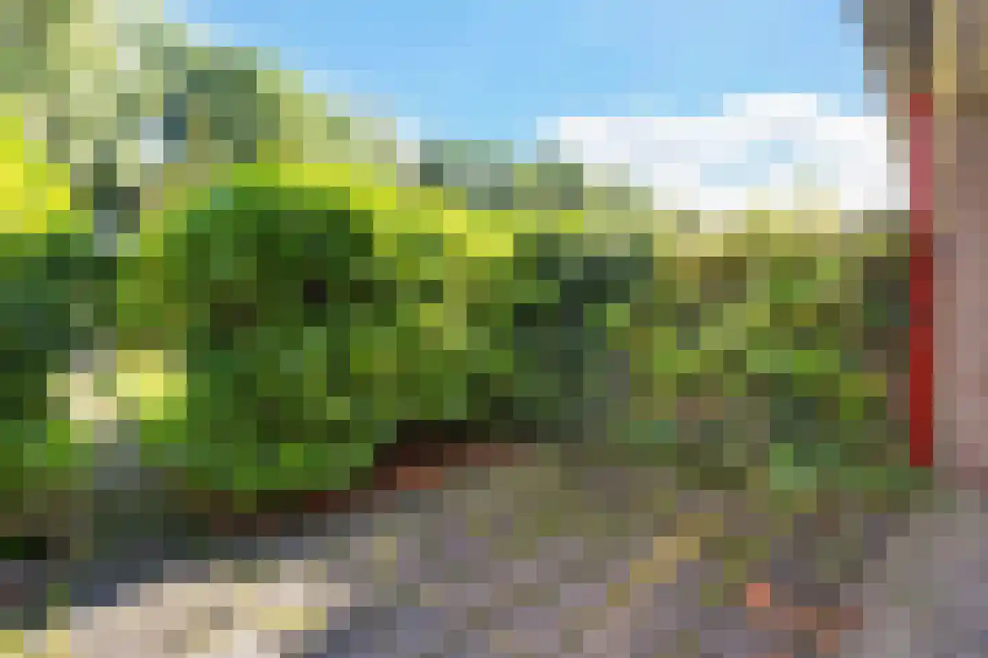 Stinsenweg 28 Roden thumbnail 32
