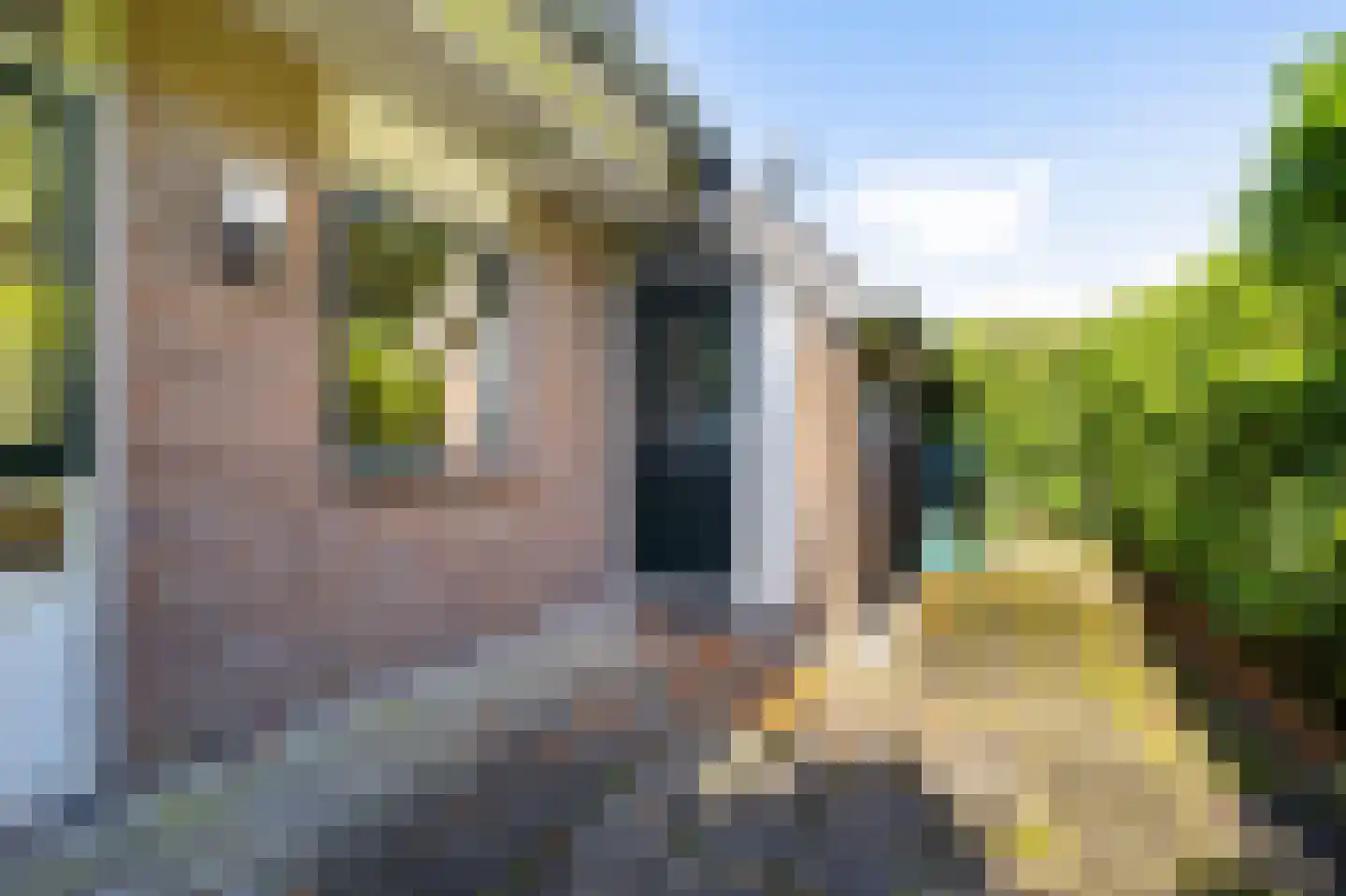 Stinsenweg 28 Roden thumbnail 33