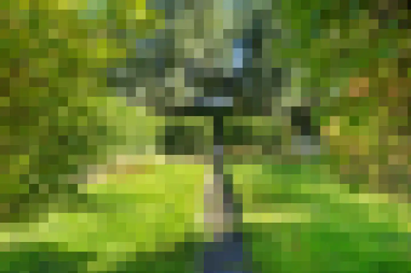 Stinsenweg 28 Roden thumbnail 34