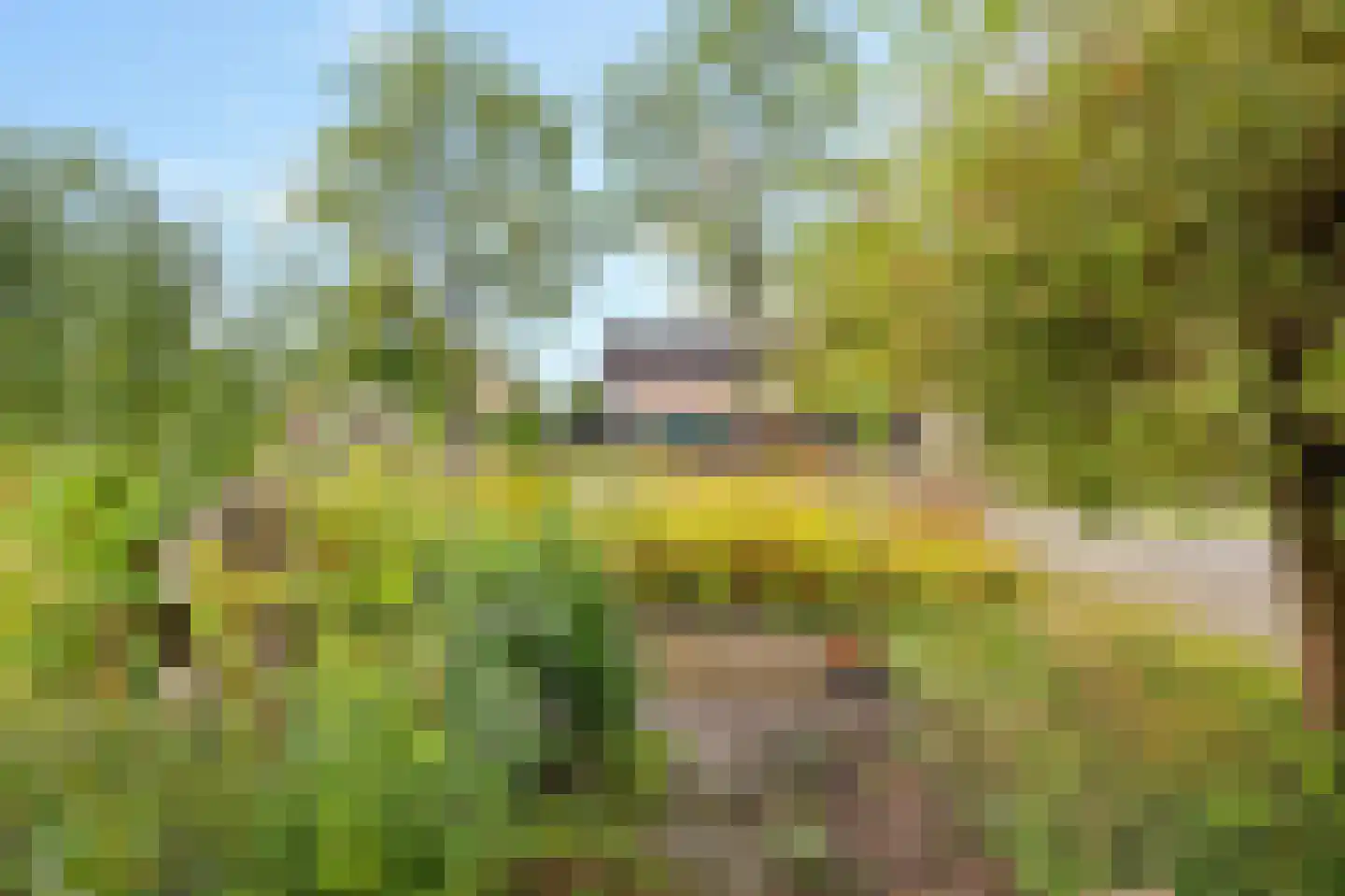 Stinsenweg 28 Roden thumbnail 9