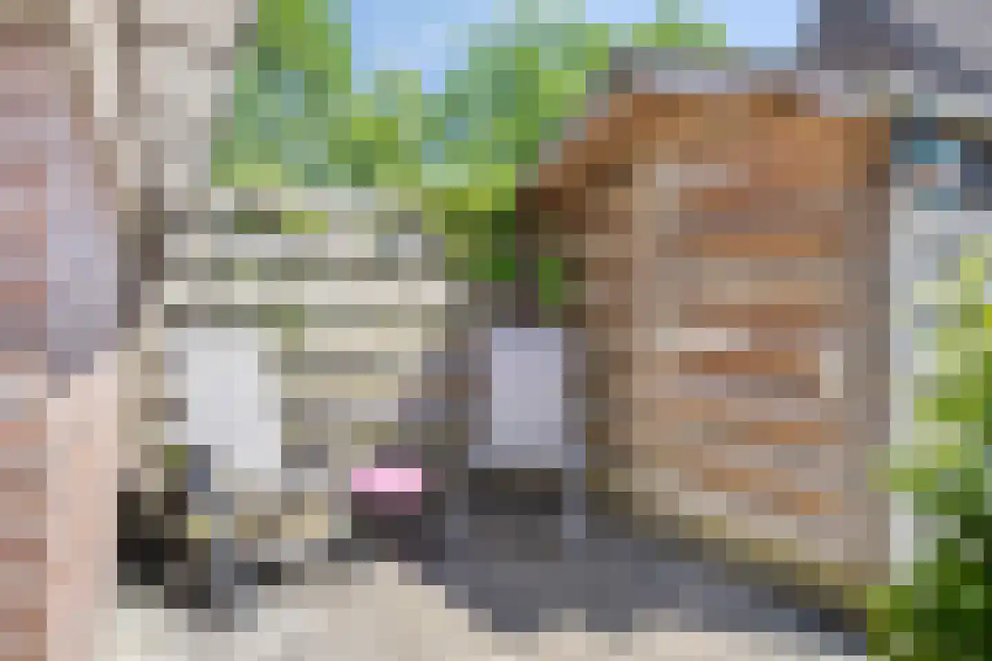 Stinsenweg 4 A Roden thumbnail 30