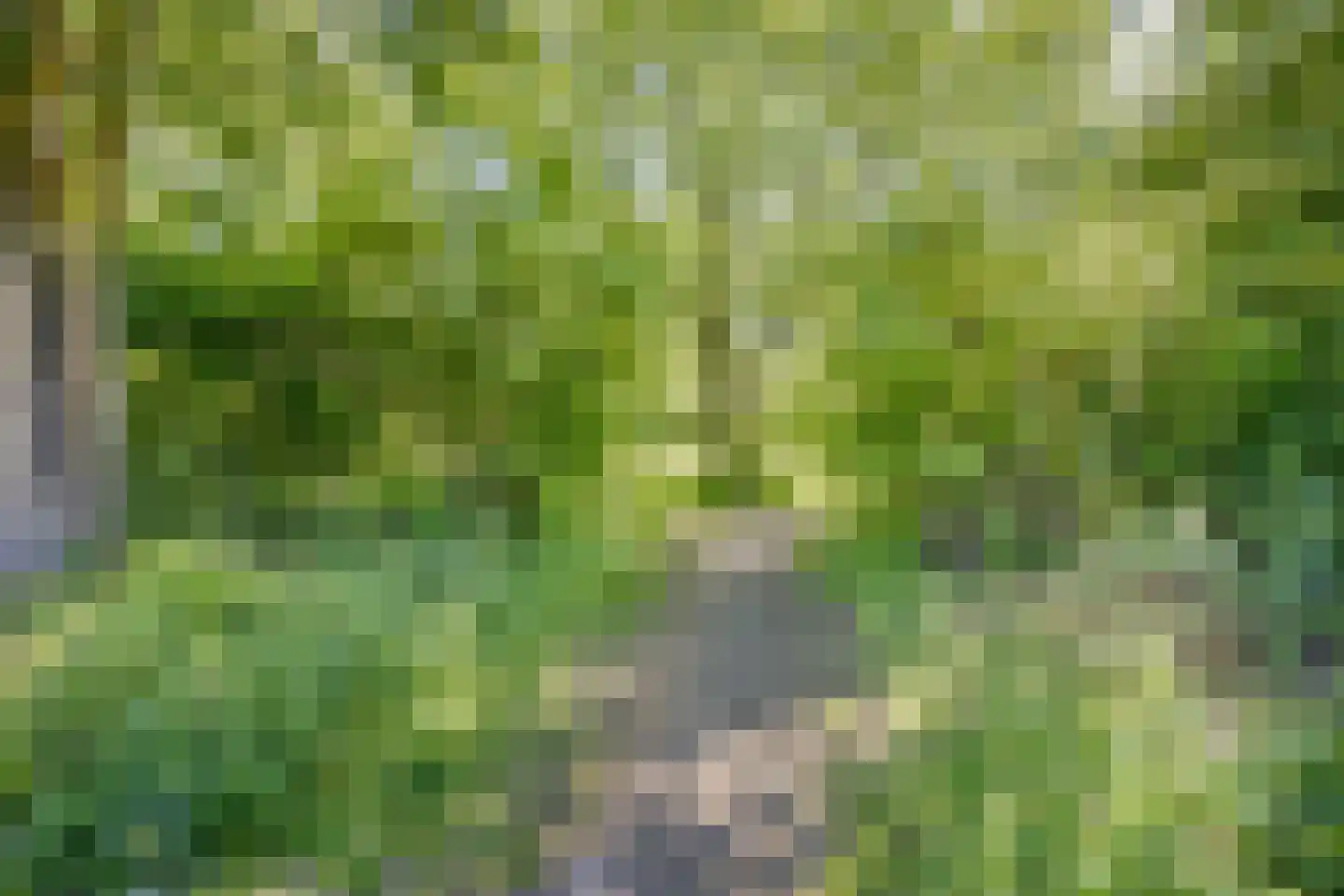 Stinsenweg 4 A Roden thumbnail 32