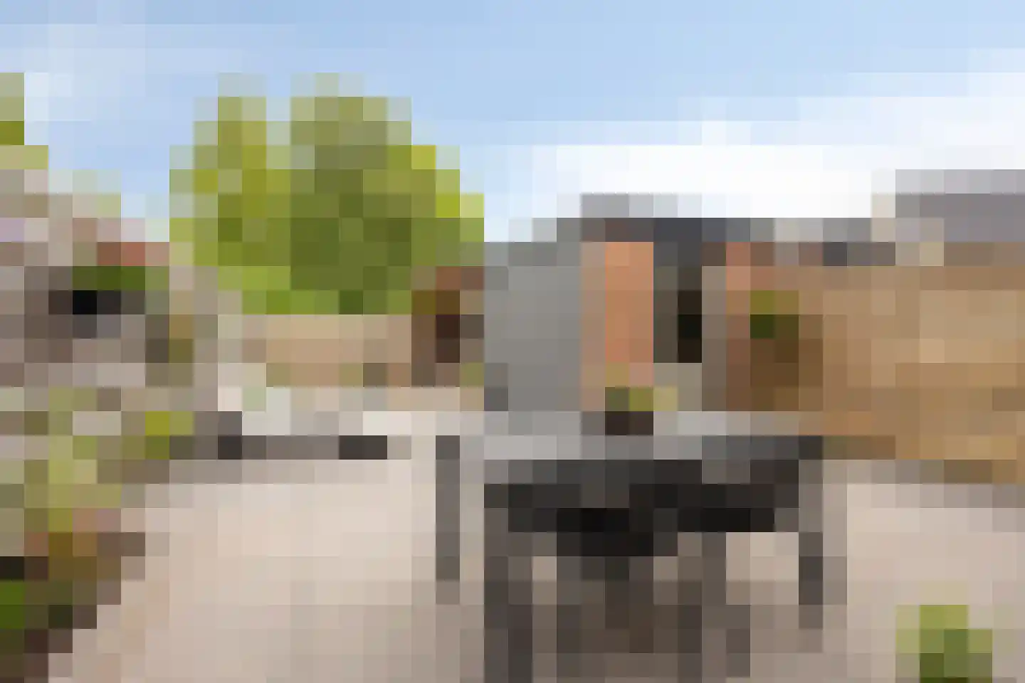 Stinsenweg 52 Roden thumbnail 4