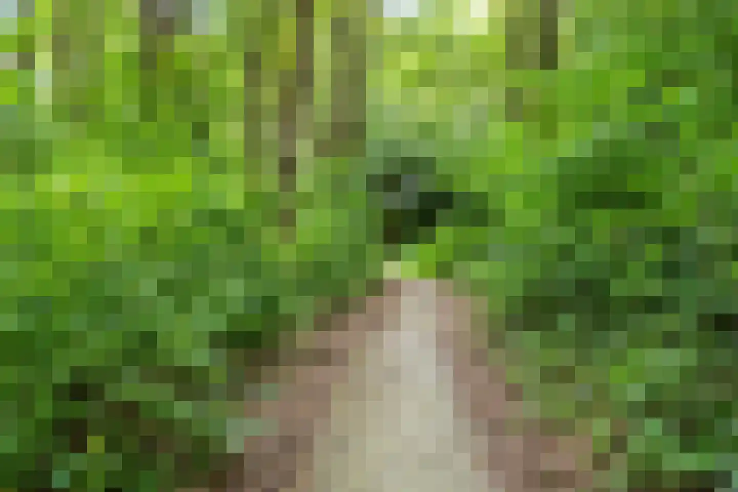 Stinsenweg 52 Roden thumbnail 43