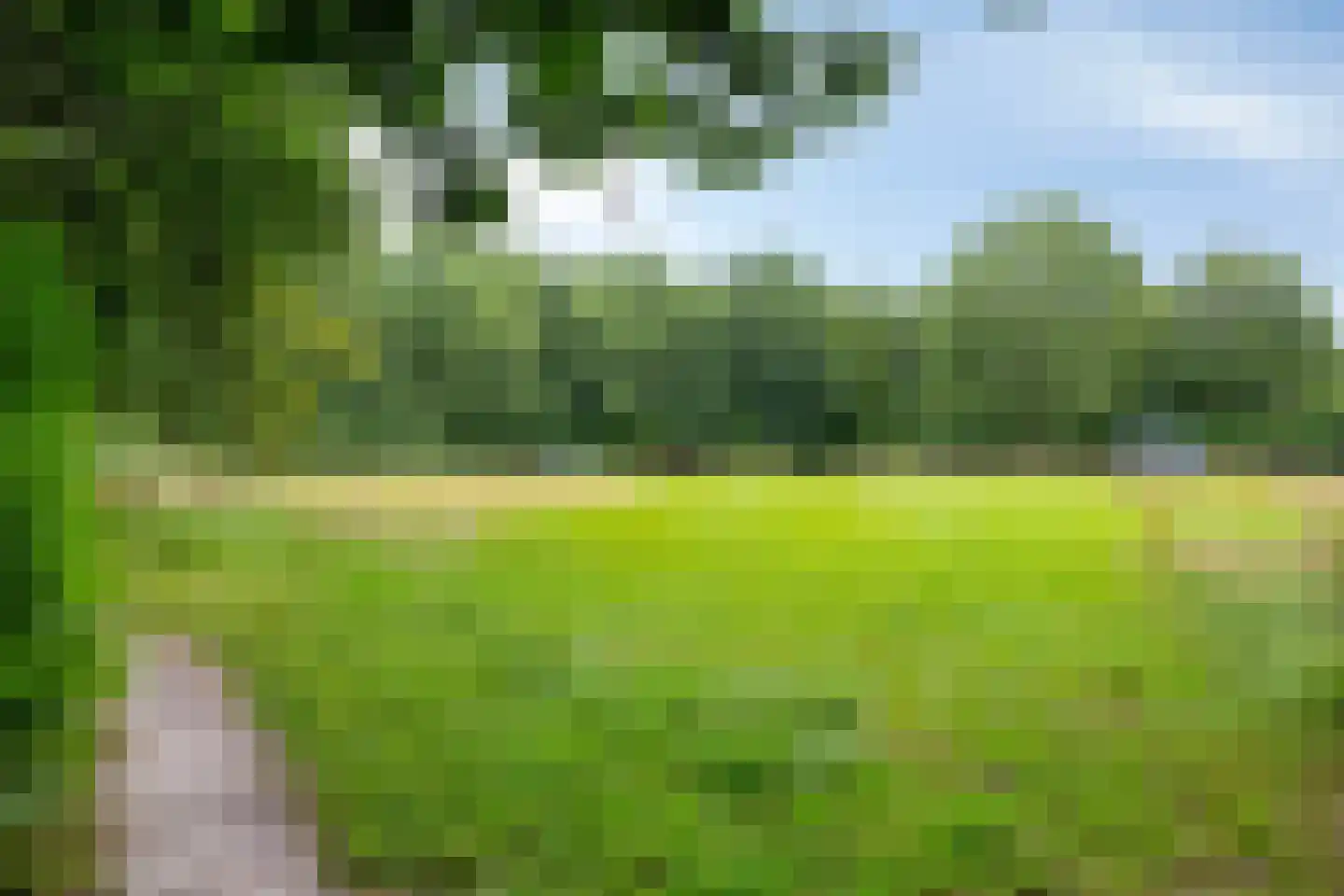 Stinsenweg 52 Roden thumbnail 44