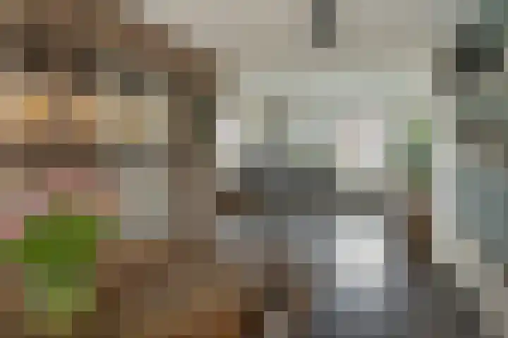 Stinsewei 18 Ouwsterhaule thumbnail 15