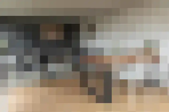 Stinsewei 18 Ouwsterhaule thumbnail 30