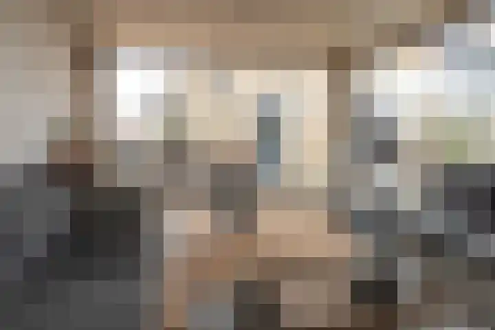 Stinsewei 18 Ouwsterhaule thumbnail 31