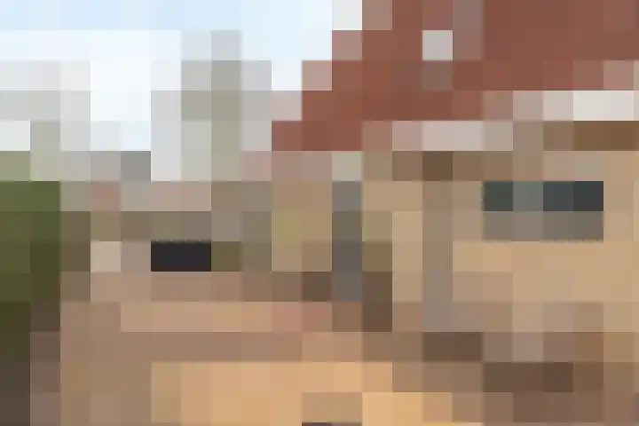 Stinsewei 18 Ouwsterhaule thumbnail 34