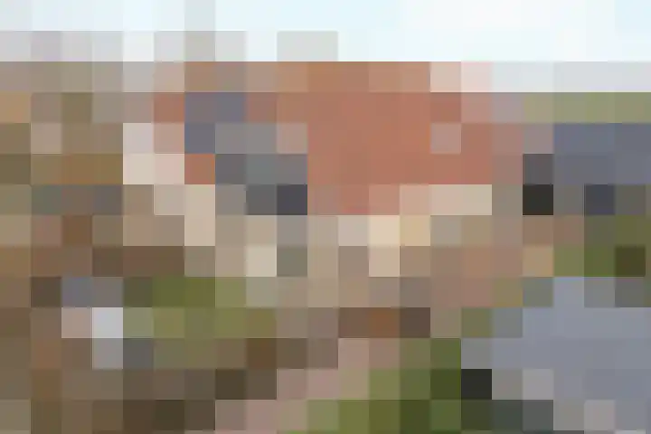 Stinsewei 18 Ouwsterhaule thumbnail 36