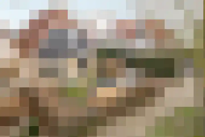 Stinsewei 18 Ouwsterhaule thumbnail 37