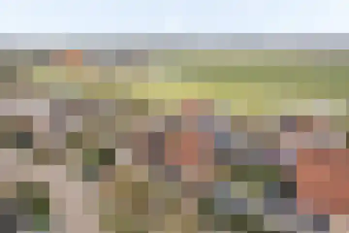 Stinsewei 18 Ouwsterhaule thumbnail 39