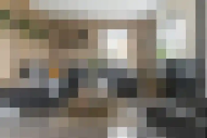Stinsewei 18 Ouwsterhaule thumbnail 8