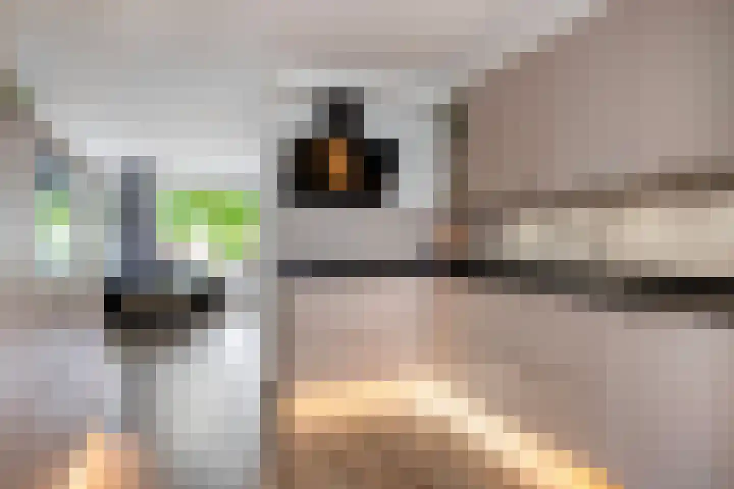 Stinsewei 22 Ouwsterhaule thumbnail 12