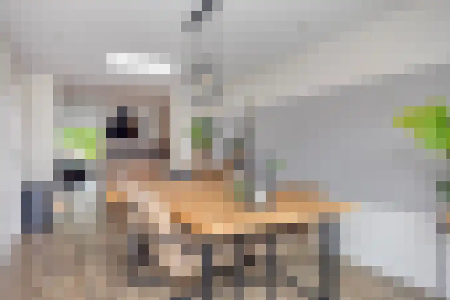 Stinsewei 22 Ouwsterhaule thumbnail 14