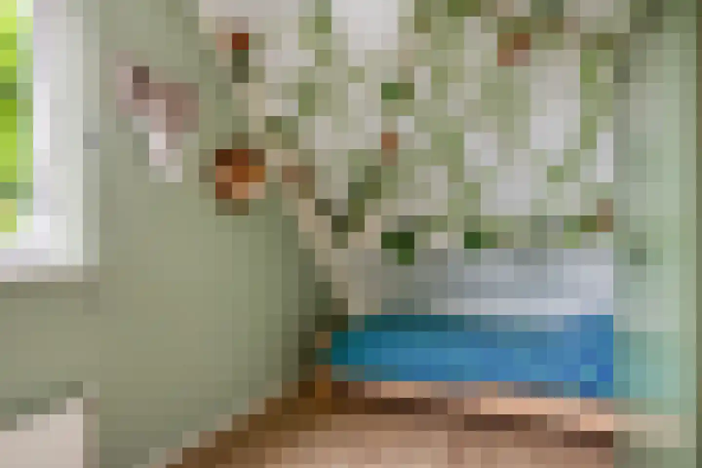 Stinsewei 22 Ouwsterhaule thumbnail 29