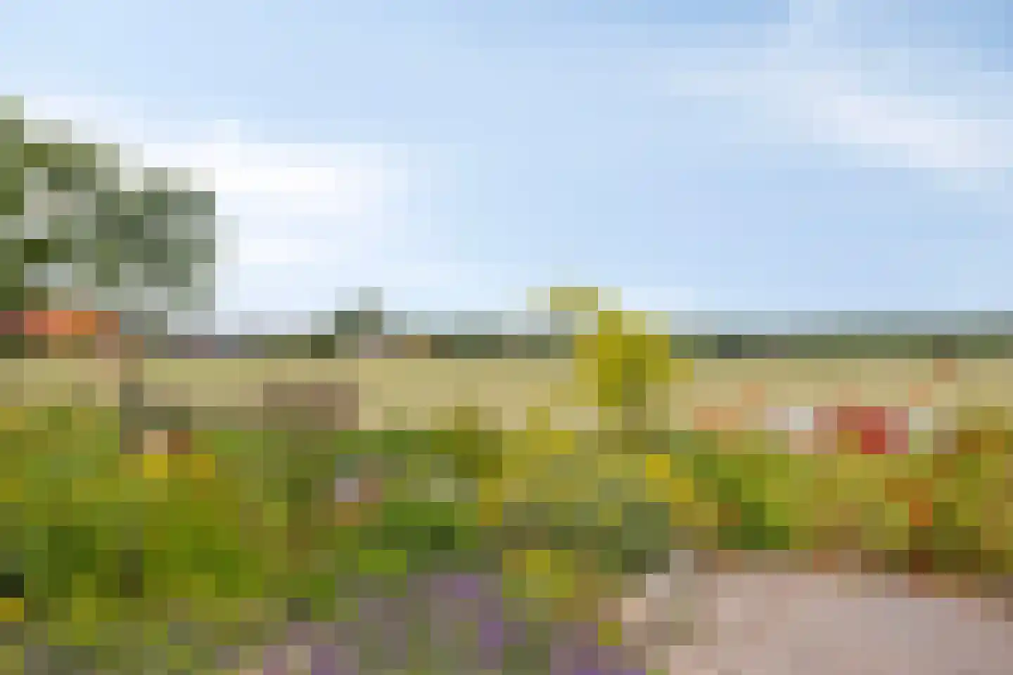 Stinsewei 22 Ouwsterhaule thumbnail 38