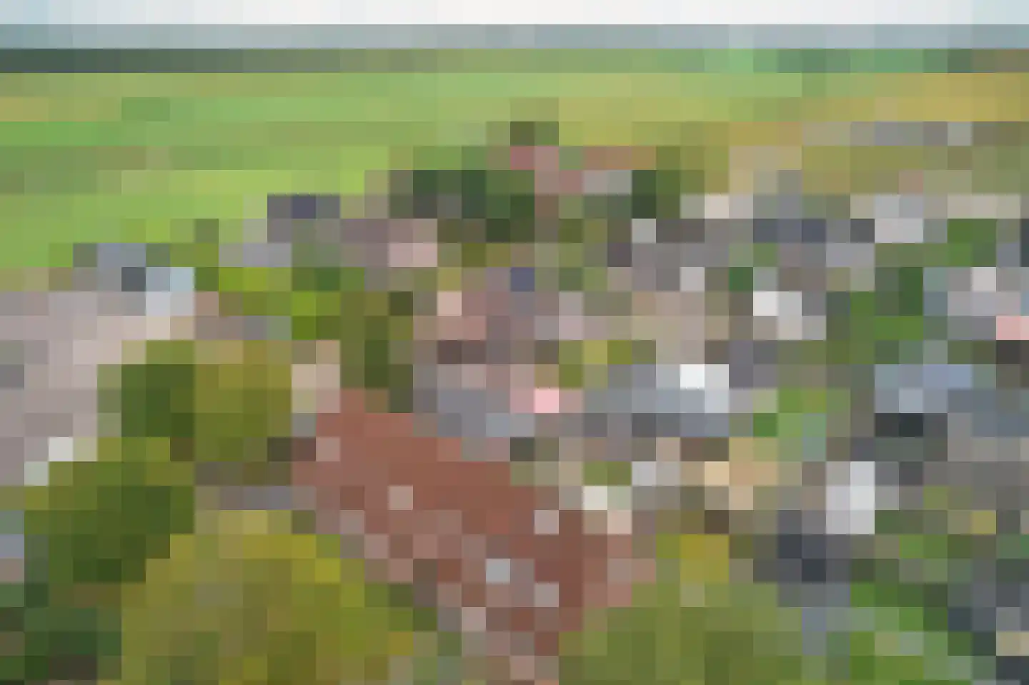 Stinsewei 23 Ouwsterhaule thumbnail 24