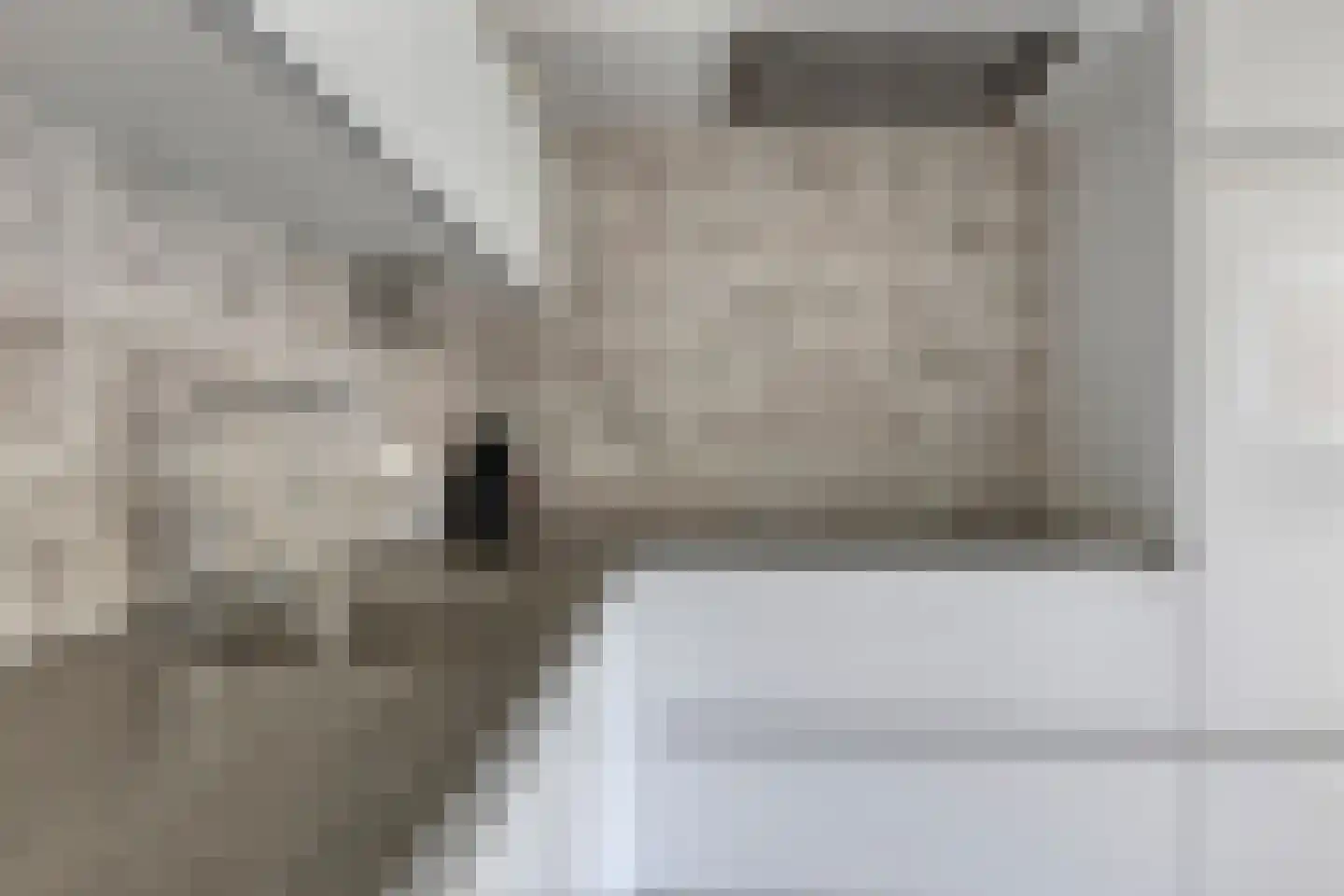 Stinslaan 19 Leek thumbnail 17