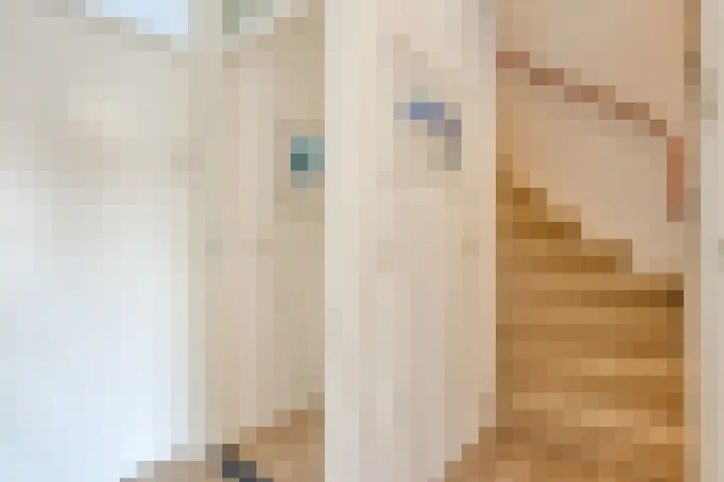 Stinslaan 22 Leek thumbnail 23