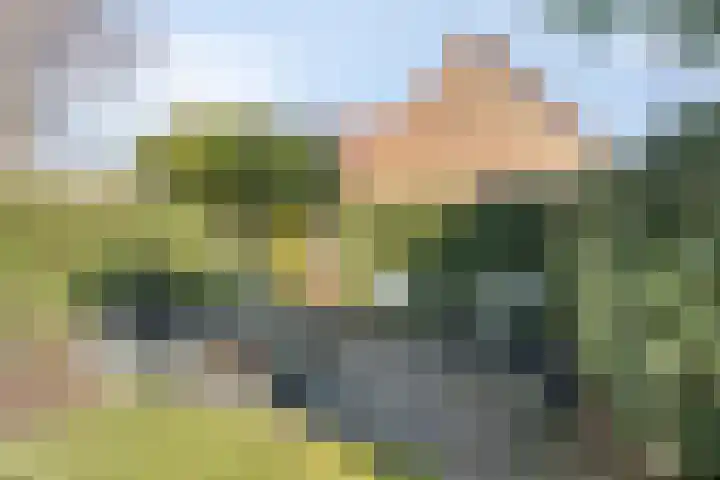Stinslaan 22 Leek thumbnail 31