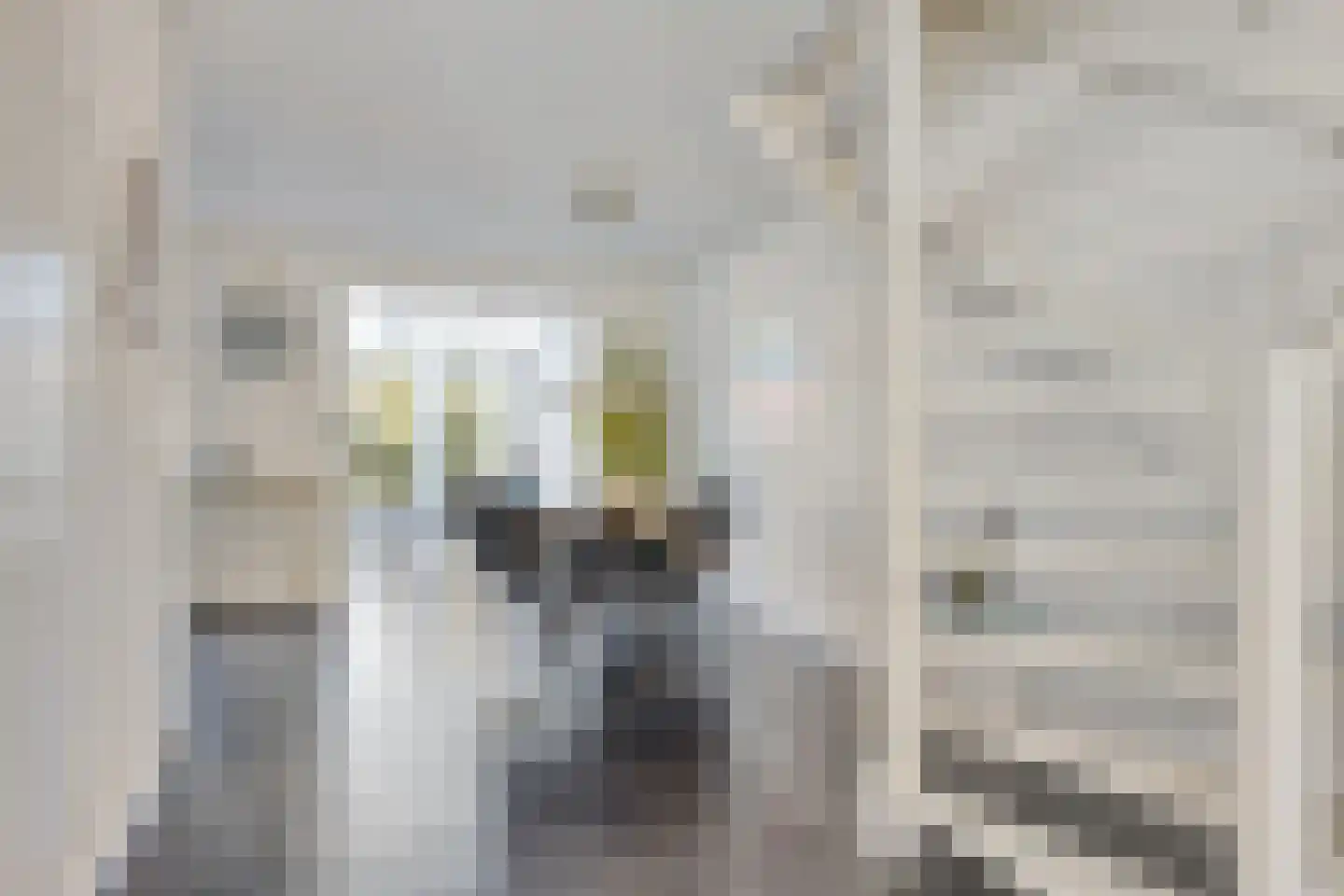 Stinslaan 22 Leek thumbnail 5
