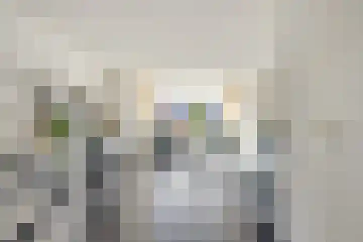Stinslaan 22 Leek thumbnail 6