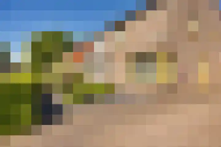Stinslaan 8 Leek thumbnail 19