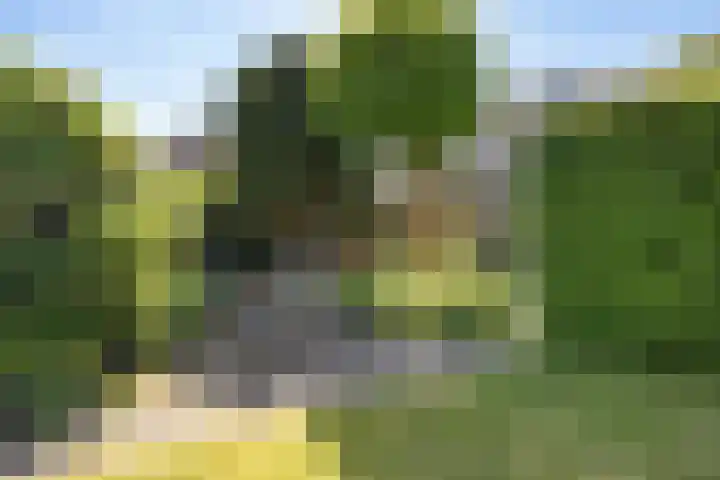 Stinslaan 8 Leek foto 2