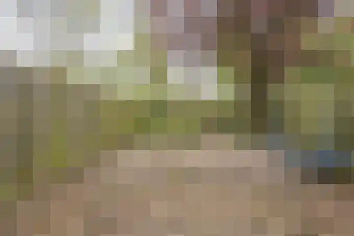Stinsstraat 14 Heerlen thumbnail 15