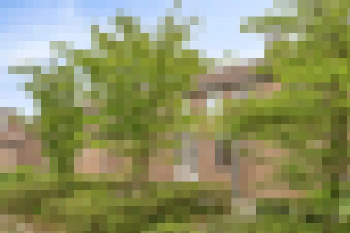Stinsstraat 9 Heerlen thumbnail 30