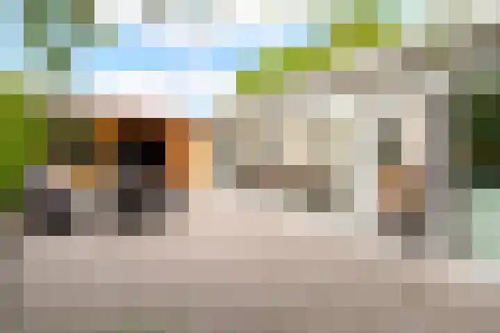Stinsweg 35 Zwolle thumbnail 11