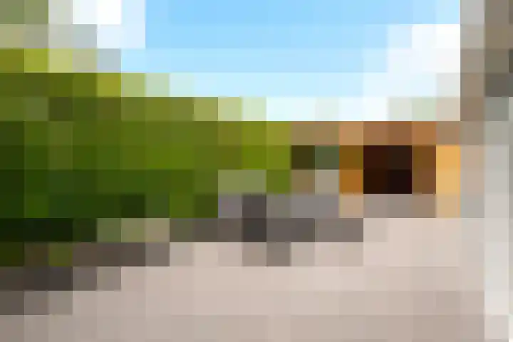 Stinsweg 35 Zwolle thumbnail 13