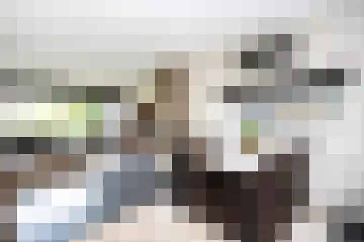 Stinsweg 35 Zwolle thumbnail 14