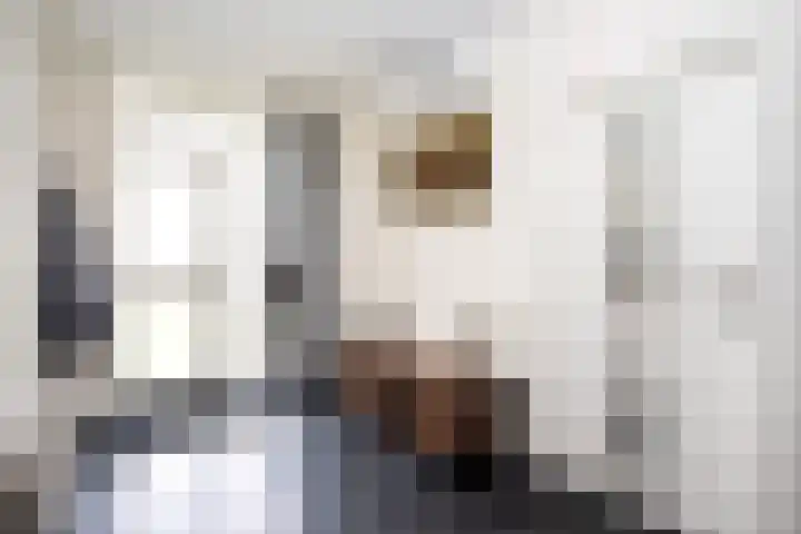 Stinsweg 35 Zwolle thumbnail 18
