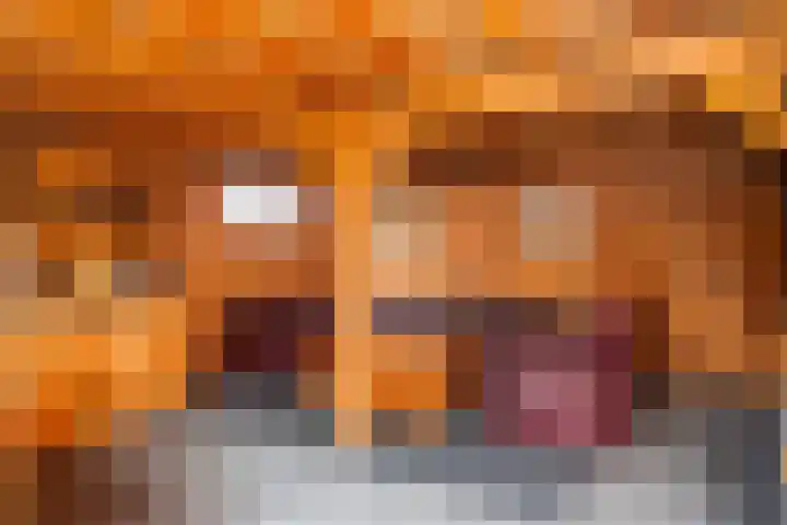 Stinsweg 35 Zwolle thumbnail 23