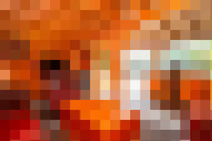 Stinsweg 35 Zwolle thumbnail 25