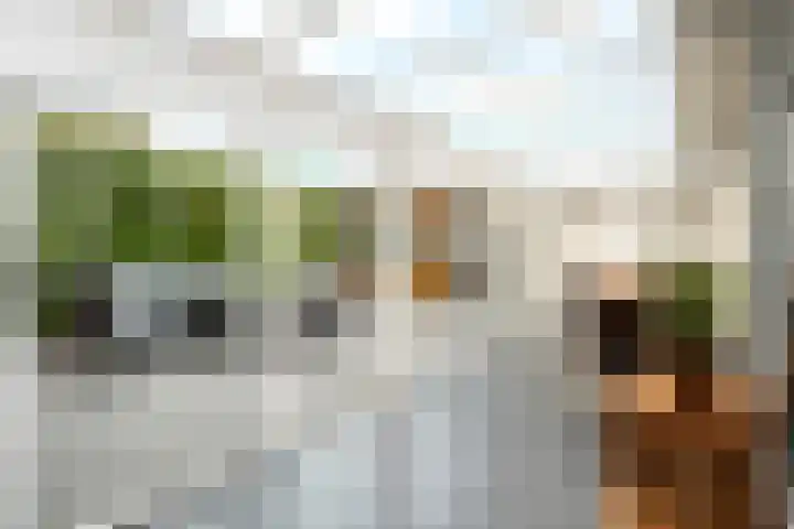 Stinsweg 35 Zwolle thumbnail 9