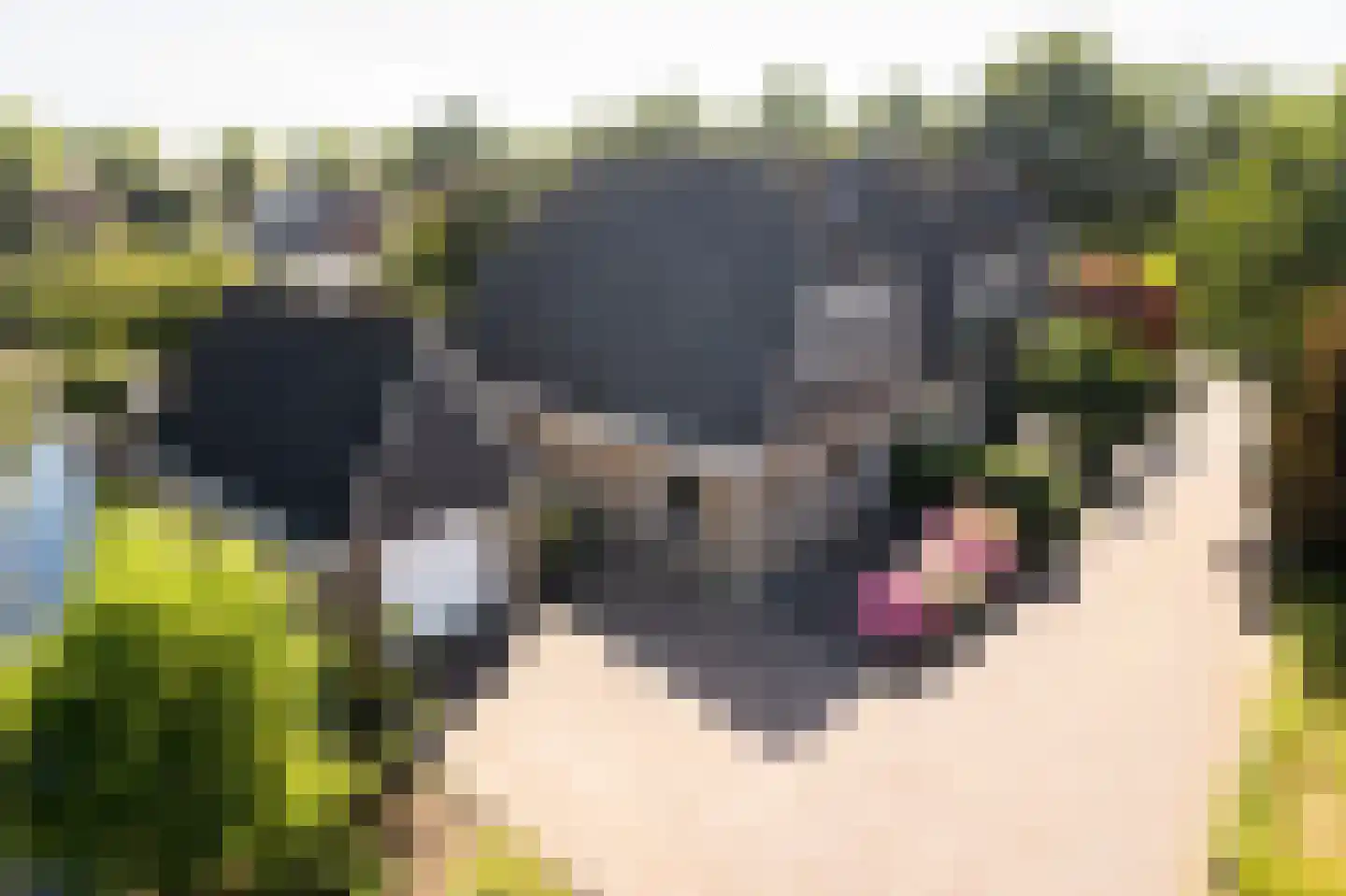 Stinswei 17 Hommerts