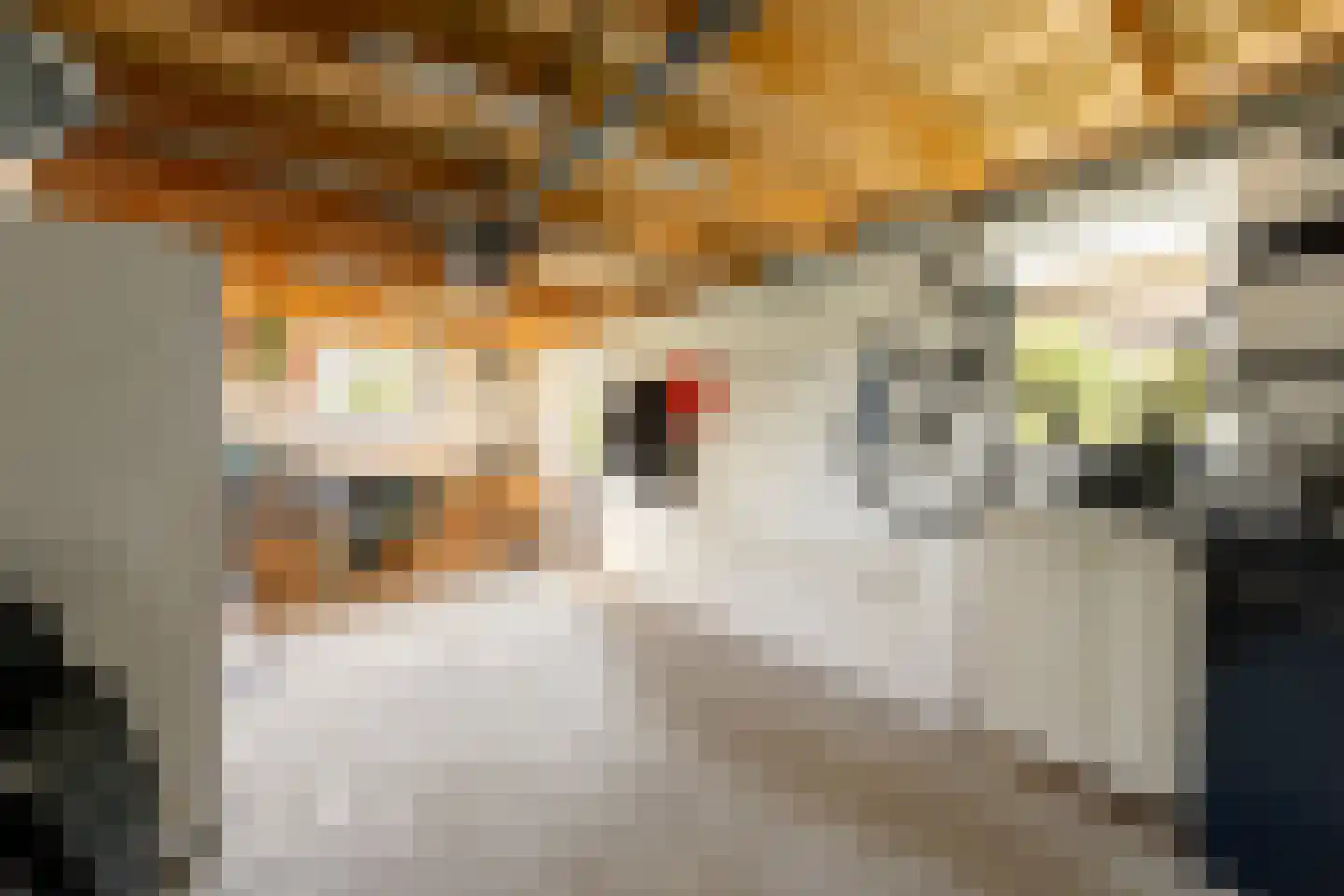Stinswei 17 Hommerts thumbnail 17