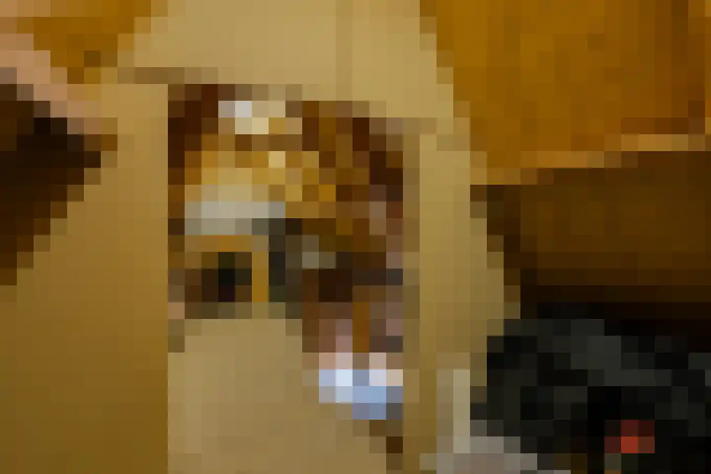 Stinswei 17 Hommerts thumbnail 19