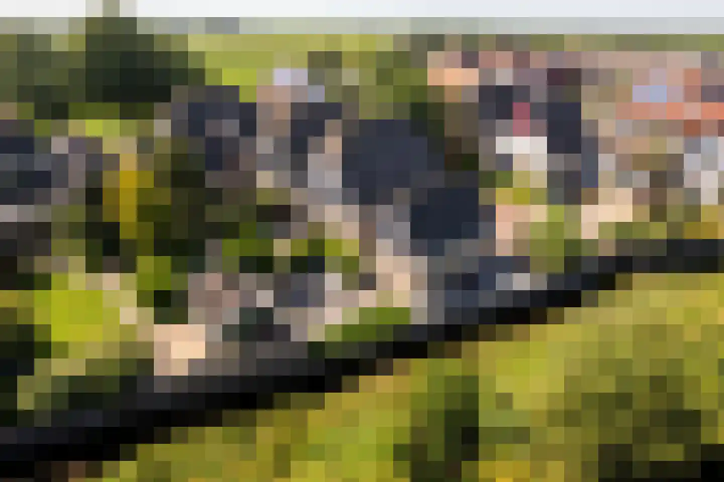 Stinswei 17 Hommerts thumbnail 31