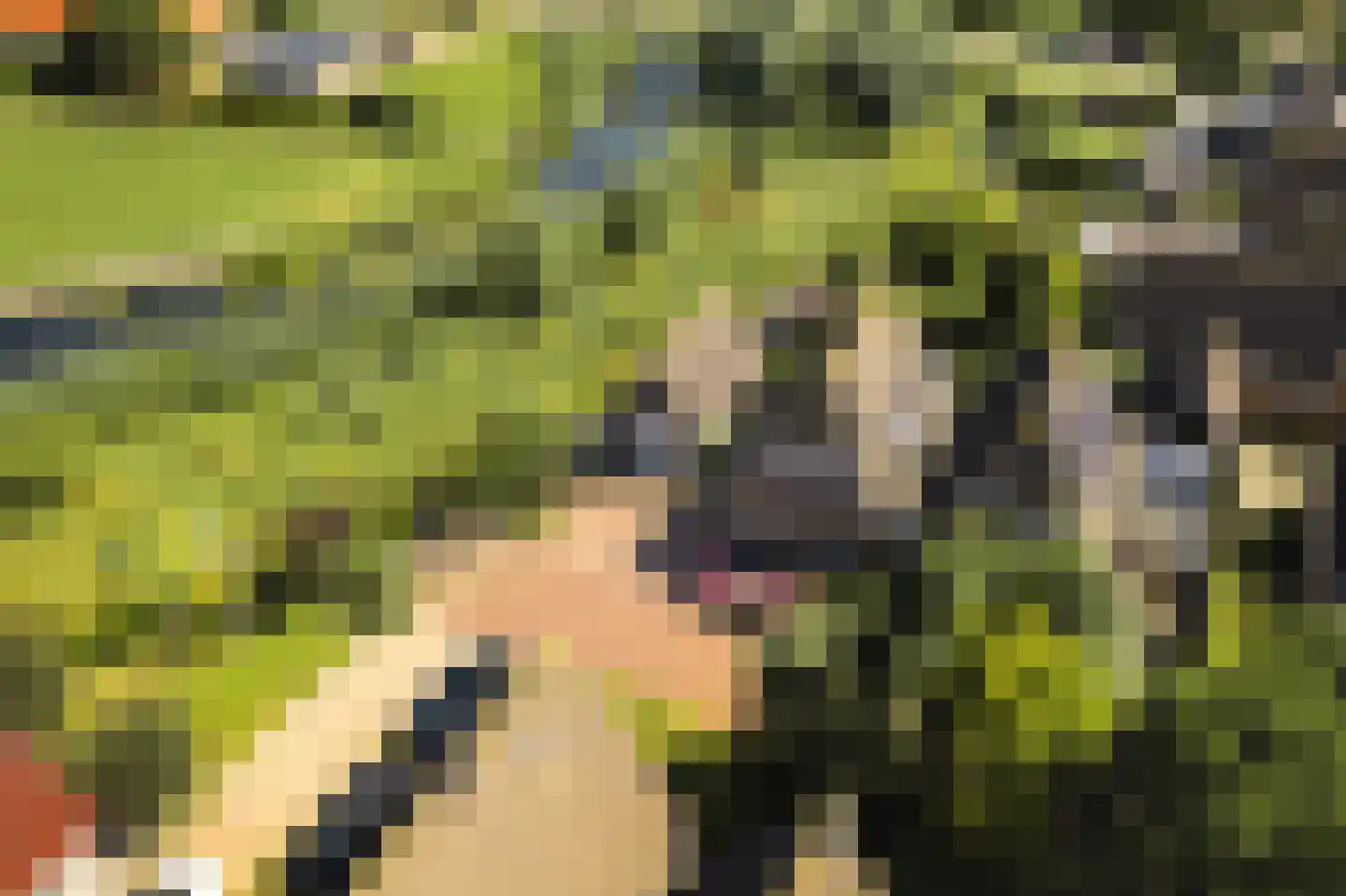 Stinswei 17 Hommerts thumbnail 32